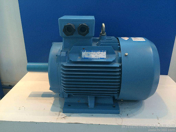 高效節(jié)能電機(jī)是西安泰富西瑪未來(lái)商業(yè)發(fā)展的方向。