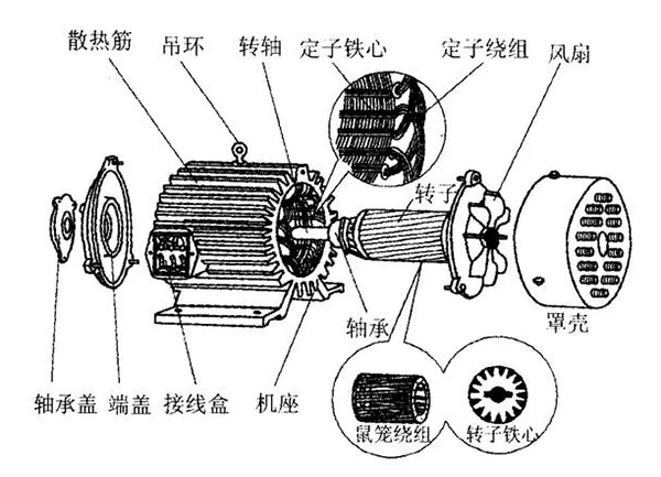三相異步電動(dòng)機(jī)的六種分類(lèi)方法及具體分類(lèi)。